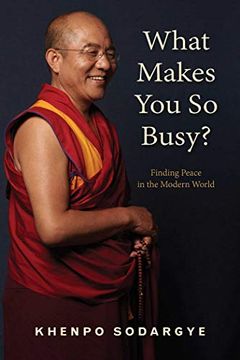portada What Makes you so Busy? Finding Peace in the Modern World (en Inglés)