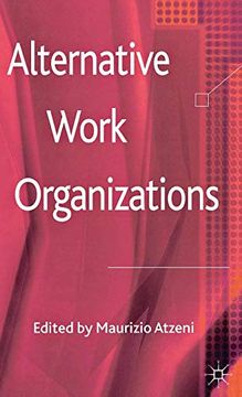 portada Alternative Work Organizations 