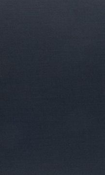 portada In the Realms of Biography, Literature, Politics and Reception: Polish and East-Central European Joseph Conrad (East European Monographs. (en Inglés)