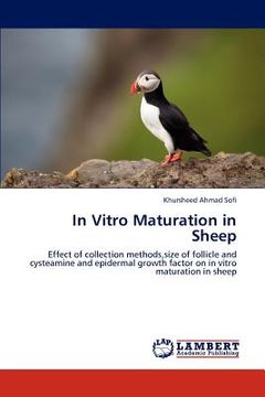 portada in vitro maturation in sheep (en Inglés)