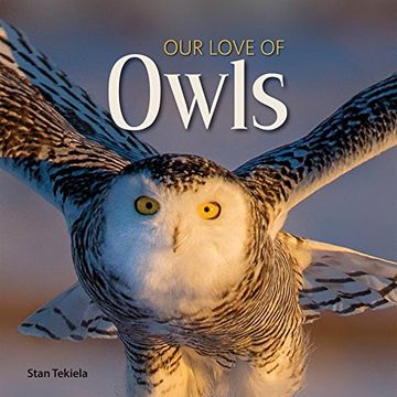portada Our Love of Owls (Our Love of Wildlife) (en Inglés)
