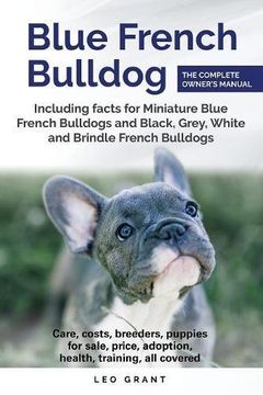 portada Blue French Bulldog: Care, costs, price, adoption, health, training and how to find breeders and puppies for sale. Includes facts for Miniature, Black, Grey, White and Brindle French Bulldogs.