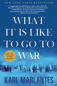 portada what it is like to go to war