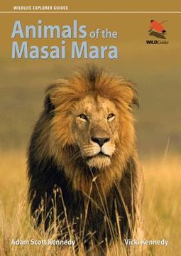 portada animals of the masai mara