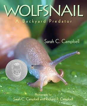 portada Wolfsnail: A Backyard Predator (en Inglés)