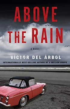 portada Above the Rain: A Novel (en Inglés)