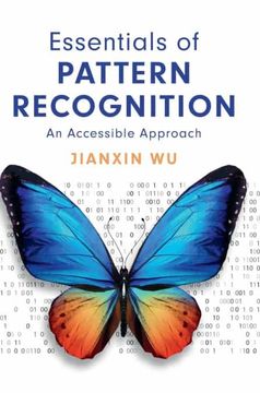 portada Essentials of Pattern Recognition: An Accessible Approach (en Inglés)