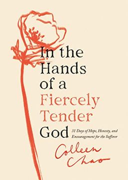 portada In the Hands of a Fiercely Tender God: 31 Days of Hope, Honesty, and Encouragement for the Sufferer (in English)