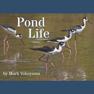 portada Pond Life (in English)