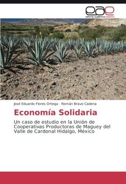 portada Economía Solidaria: Un Caso de Estudio en la Unión de Cooperativas Productoras de Maguey del Valle de Cardonal Hidalgo, México