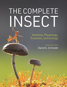 portada The Complete Insect: Anatomy, Physiology, Evolution, and Ecology (in English)