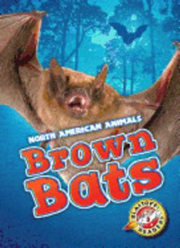 portada Brown Bats