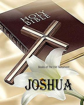 portada Joshua: 6th Book of The Old Testament (en Inglés)