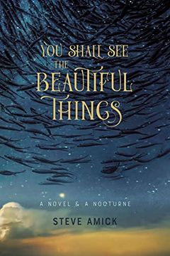 portada You Shall See the Beautiful Things: A Novel & a Nocturne (en Inglés)