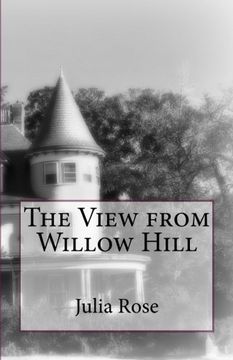 portada The View From Willow Hill (in English)