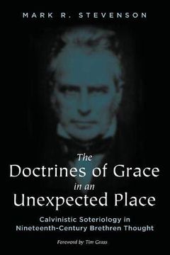 portada The Doctrines of Grace in an Unexpected Place: Calvinistic Soteriology in Nineteenth-Century Brethren Thought (en Inglés)