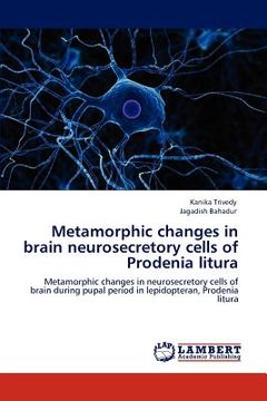 portada metamorphic changes in brain neurosecretory cells of prodenia litura (en Inglés)