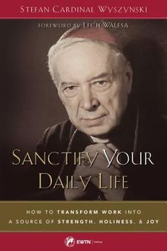 portada Sanctify Your Daily Life: How to Transform Work Into a Source of Strength, Holiness, and joy (in English)