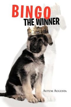 portada bingo the winner (in English)