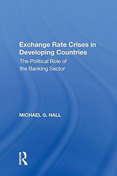 portada Exchange Rate Crises in Developing Countries: The Political Role of the Banking Sector (in English)