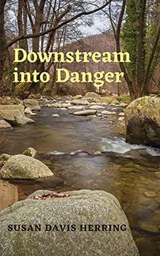 portada Downstream Into Danger (in English)