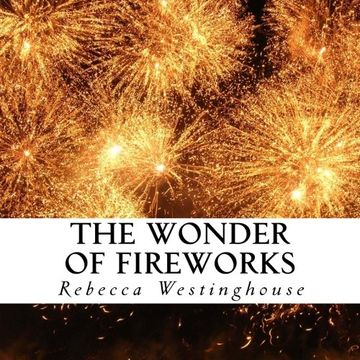 portada The Wonder of Fireworks: A text-free book for Seniors and Alzheimer's patients