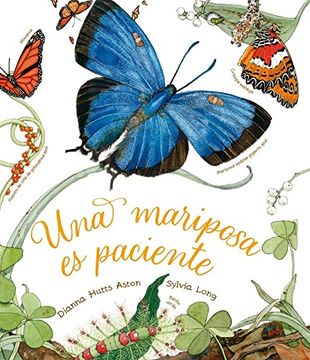 portada Una Mariposa es Paciente (in Spanish)