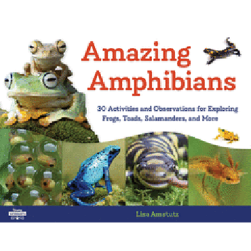 portada Amazing Amphibians: 30 Activities and Observations for Exploring Frogs, Toads, Salamanders, and More (Young Naturalists) (en Inglés)