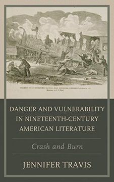 portada Danger and Vulnerability in Nineteenth-Century American Literature: Crash and Burn (in English)