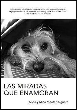 portada Las Miradas que Enamoran (in Spanish)