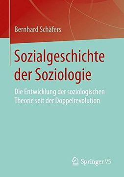 portada Sozialgeschichte der Soziologie: Die Entwicklung der Soziologischen Theorie Seit der Doppelrevolution (en Alemán)