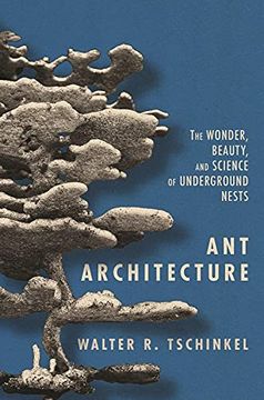 portada Ant Architecture: The Wonder, Beauty, and Science of Underground Nests (en Inglés)