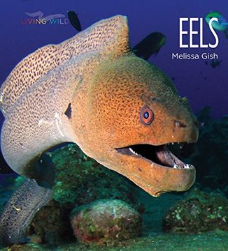 portada Eels (Living Wild) (en Inglés)