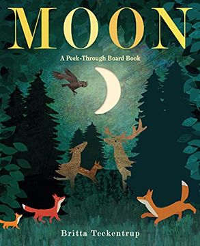 portada Moon: A Peek-Through Board Book (en Inglés)