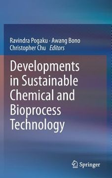 portada sustainability and process development (in English)