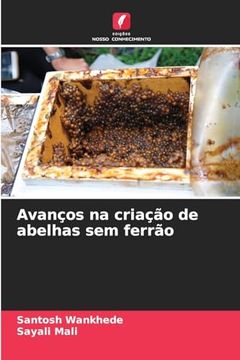 portada Avanços na Criação de Abelhas sem Ferrão (in Portuguese)