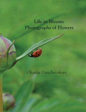 portada Life in Bloom: Photographs of Flowers (en Inglés)