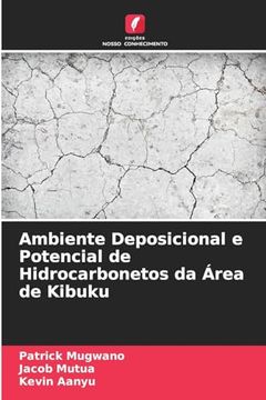 portada Ambiente Deposicional e Potencial de Hidrocarbonetos da Área de Kibuku (in Portuguese)