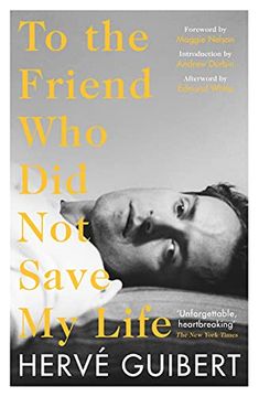portada To the Friend who did not Save my Life 