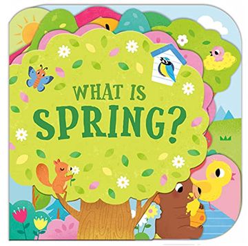 portada What is Spring? (en Inglés)