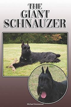 Schnauzer Dog Trained Giant Schnauzer Crufts 2024 Best Of Breed