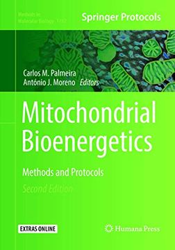 portada Mitochondrial Bioenergetics: Methods and Protocols (in English)