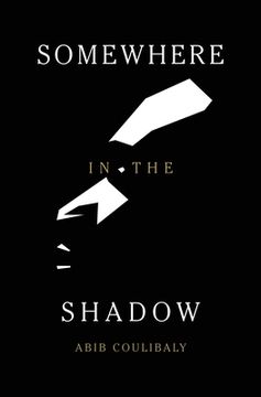 portada Somewhere in the Shadow (en Inglés)