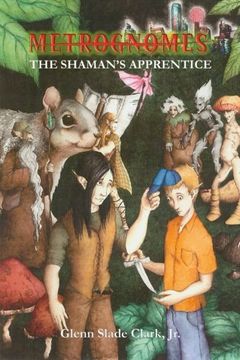 portada Metrognomes: The Shaman's Apprentice