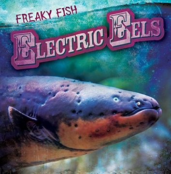 portada Electric Eels (Freaky Fish) (en Inglés)
