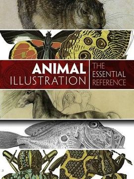 portada Animal Illustration: The Essential Reference (in English)