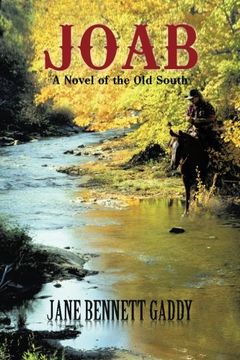 portada Joab: A Novel of the old South (en Inglés)