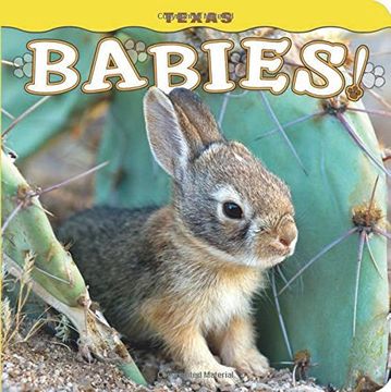 portada Texas Babies! (in English)