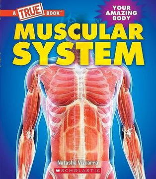 portada Muscular System (a True Book: Your Amazing Body) (en Inglés)