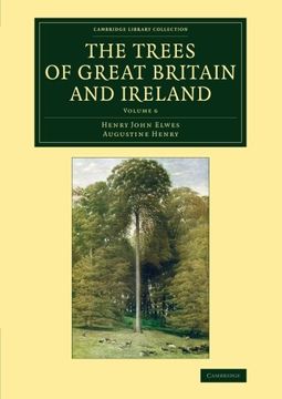 portada The Trees of Great Britain and Ireland: Volume 6 (Cambridge Library Collection - Botany and Horticulture) (en Inglés)